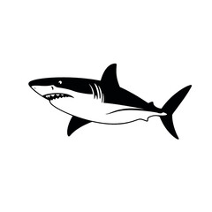 a shark vector silhouette, black color silhouette