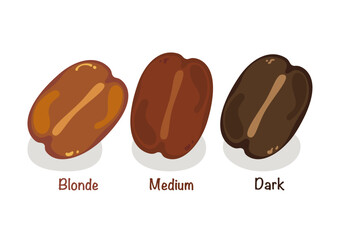 Set of vector illustrations of delicious cafe coffee drinks. Stages of roasting of coffee beans, light, medium, dark. Isolated on a white background. For designing food and drink menus Easy to edit.
