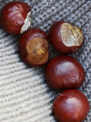 Fresh chestnuts on cozy gray knitted background. Close-up of glossy brown nuts, some peeled to reveal creamy interior. Perfect for autumn themes, holiday cooking, seasonal foods, 