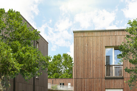 Residential area with ecological and sustainable green residential buildings, low-energy houses with wooden facade, timber construction and green courtyard