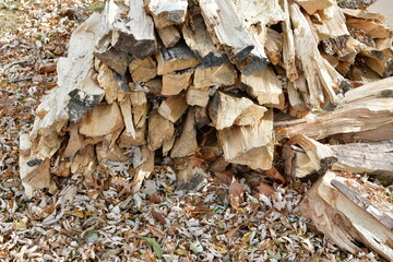 Woodpile