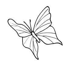 Monochrome fluttering butterfly vector illustration. Black and white drawing of abstract tropical insect painted by inks. Top view. Decorative element for art deco design, tattoo, coloring book