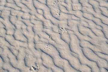 White Sands National Park USA