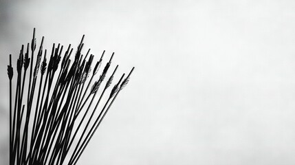   Black-and-white image of sticks protruding from a building fa&ccedil;ade against a cloudy backdrop