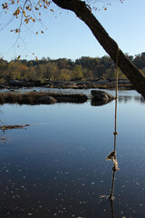 rope swing on The James River, Richmond, VA
