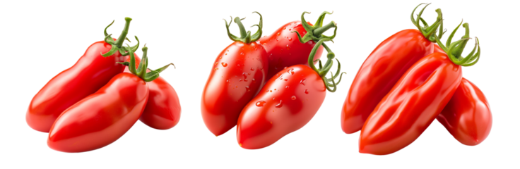 Red San Marzano tomato with a green stem isolated on a white background.
