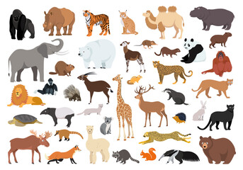 Fototapeta premium Big set of wild animals. Collection of cute vector characters of animal world in flat style, isolated on white