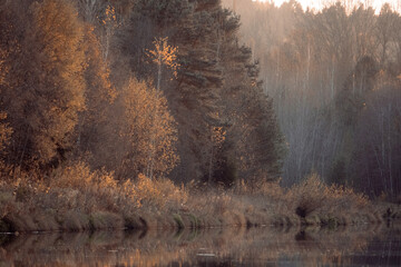 nice autumn trees near river