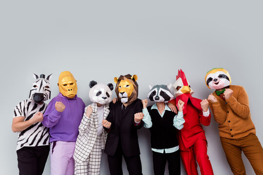 Photo of zebra gorilla raccoon lion panda sloth rooster mask people raise fists accomplish isolated on grey color background