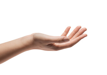 Reaching hand with open palm on transparent background, conveying invitation or readiness, emphasizing human gesture and interaction in a minimalistic style.