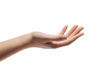 Reaching hand with open palm on transparent background, conveying invitation or readiness, emphasizing human gesture and interaction in a minimalistic style.