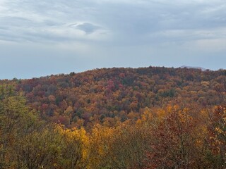 autumn colors in the mountains