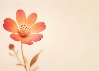Naklejka premium Gentle orange flower on beige background. Minimalistic romantic back with empty copyspace. AI generated