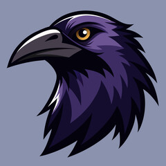 Fototapeta premium eagle head vector