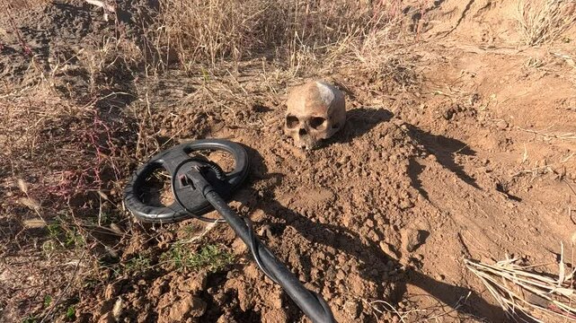 a human skull found during a search with a metal detector, in the steppes and deserts where ancient people and Neanderthals lived in past centuries