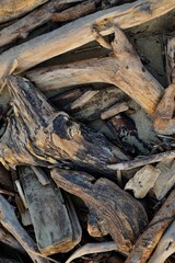 wood texture