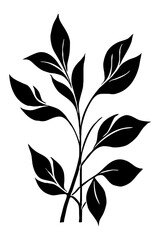 Abstract black and white pattern. For use in graphics. Minimalist illustration for printing on wall decorations