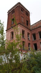 Abandoned, neglected and overgrown building