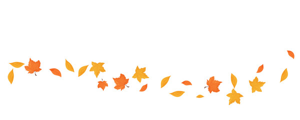 Wave of falling leaves. Leaf fall. Autumn falling leaves on a transparent background.