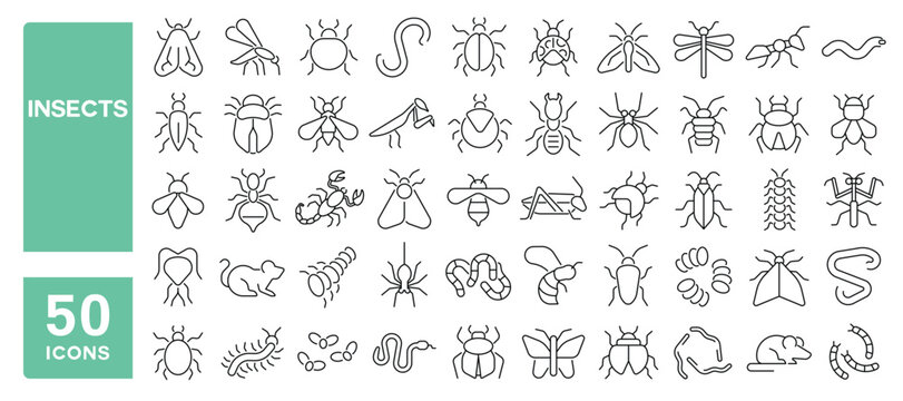 Set of 50 line icons related to insects, bee, beetle, butterfly, ant, caterpillar, dragonfly, fly, mouse, bug, Editable stroke. Vector illustration