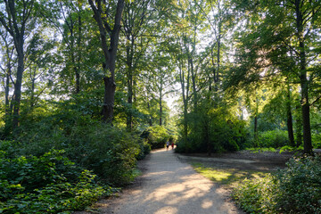 19 August 2024 Berlin (Germany) - August: Footpath in the Tiergarten public park