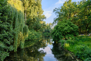19 August 2024 Berlin (Germany) - August: Footpath in the Tiergarten public park