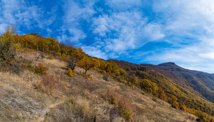 Mountain landscape in autumn. Beautiful colors of the leaves, trees and bushes. A path that leads between the forest оn mountain Kitka near the city of Skopje, Macedonia.