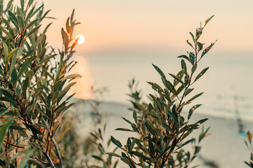 Sunset over Lake Michigan as seen from Indiana Dunes National Park