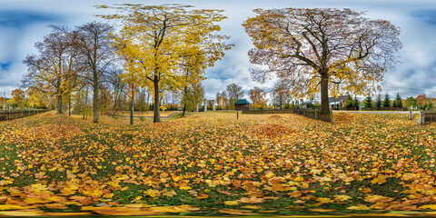 seamless spherical 360 hdri panorama in middle of forest near in golden autumn in equirectangular...