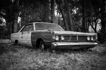 Monterey Hardtop 2: A classic car is abandoned in the forest.