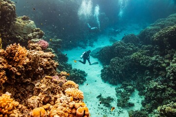 Red Sea - Egypt - Coral Garden - Reef