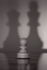 Chess pieces symbolize geopolitical and social relations. Their positions and shadows allow viewers...