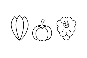 Vegetables line art icon set isolated on white background.