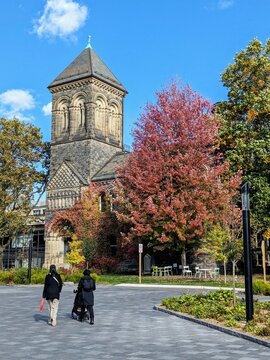 University of Toronto foliage 