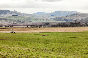 Obraz premium Lush green farm pastures Tasmania