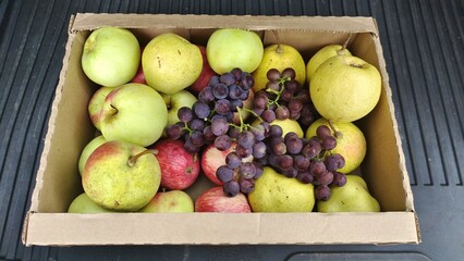 A cardboard box stands on a rubber mat. It is filled with ripe green and red apples, pears and grapes. Autumn harvest