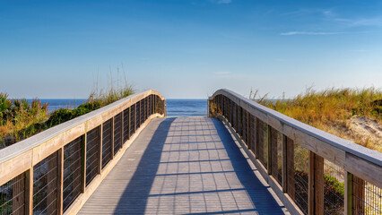 Elevated boardwalk trail in New Smyrna Dunes Park in sunny day in New Smyrna Beach, Florida