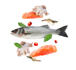 Different sea food in air on white background