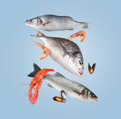 Different sea food in air on light blue background