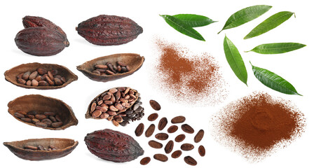 Cocoa powder, pods, beans and green leaves isolated on white