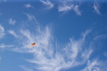 kite in the sky