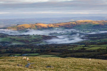 Fototapeta premium Morning mist, or dragon's breath as they say in Wales, in the lower regions of Carmarthenshire in South Wales. 