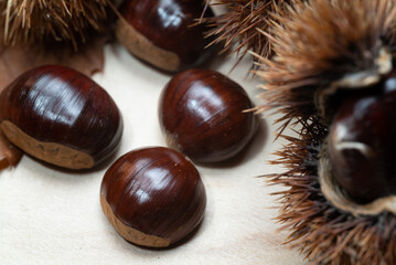 Close-up image of sweet edible chestnuts on a wooden table, with their brown autumn lanceolate leaves and a spiky open burr.