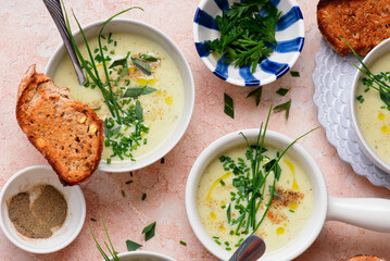 French Cream of Cauliflower Soup with Croutons.style hugge.selective focus