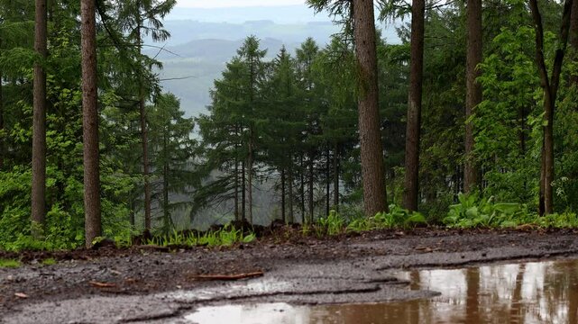 the rainy landscape of the german siegerland 4k 25fps video