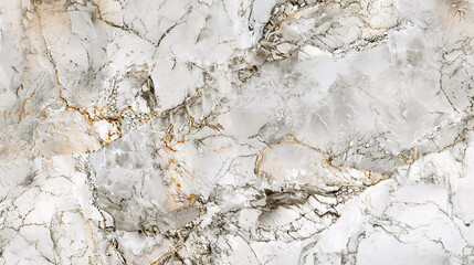 Detailed Natural Marble Texture or Background High Definition Scan Print