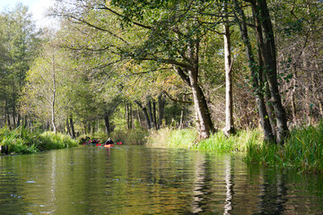 Kanutour auf den Fließen im Spreewald bei herbstlicher Stimmung mit Sonnenschein