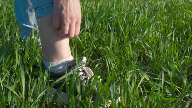 Girl scratching insects bites on leg. A view of teen stand in the green grass and scratching her legs during day time.