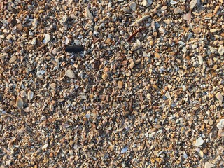 Sea pebble beach stones
