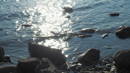 Seagulls on the rocks